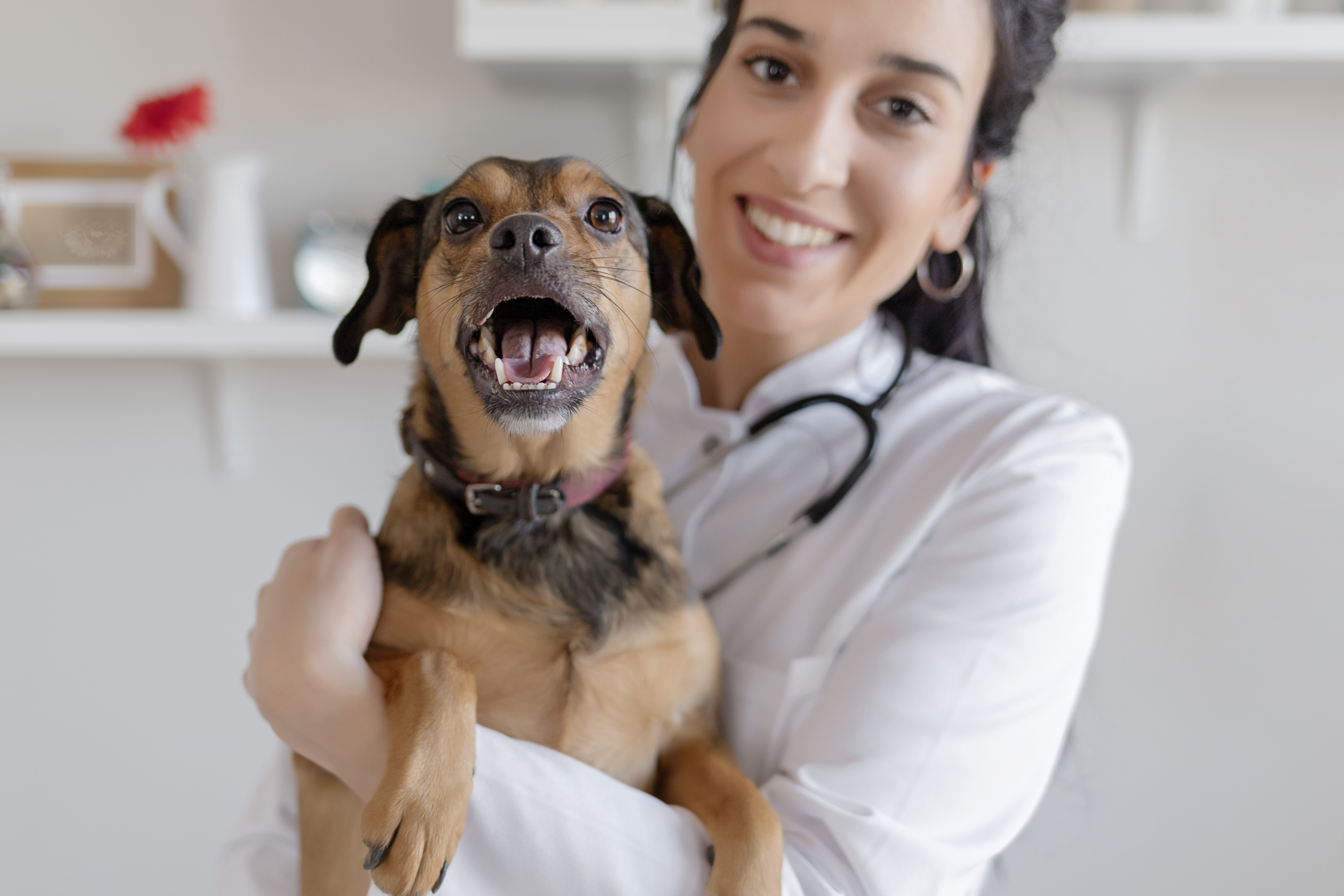 Home loan for veterinarian